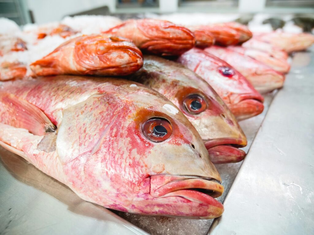 Pescado fresco expuesto en la pescadería Pescados Perillo